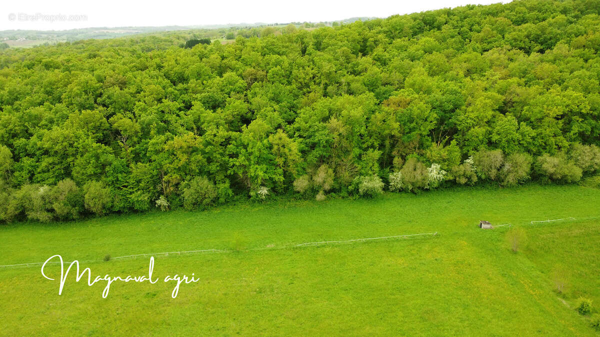 Domaine équestre ou agricole de 30 hectares en Occitanie - photo 13