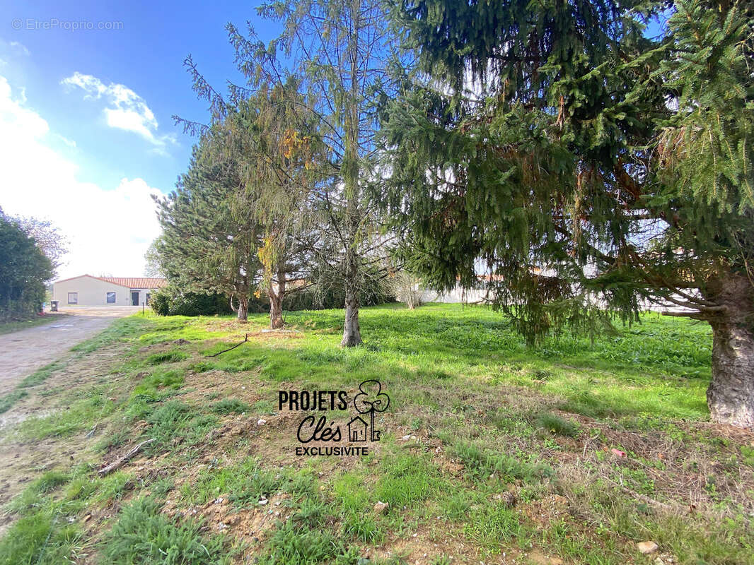 Terrain constructible de 348m2 centre-ville - photo 8