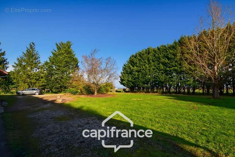 Maison à vendre 4 pièces proche de LOUHANS (71) - photo 13