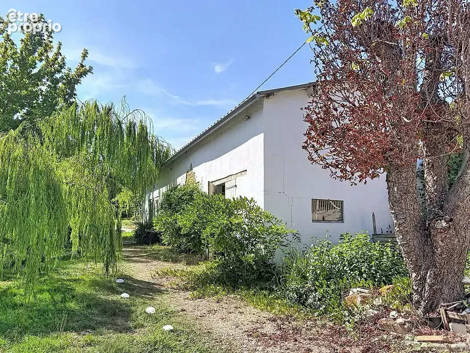 Propriété T7 avec studio, dépendances, garage et 6 035 m2 de terrain - photo 25