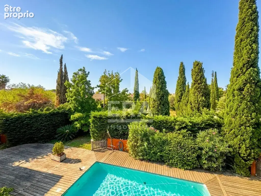 Maison 330m² à perpignan - photo 4