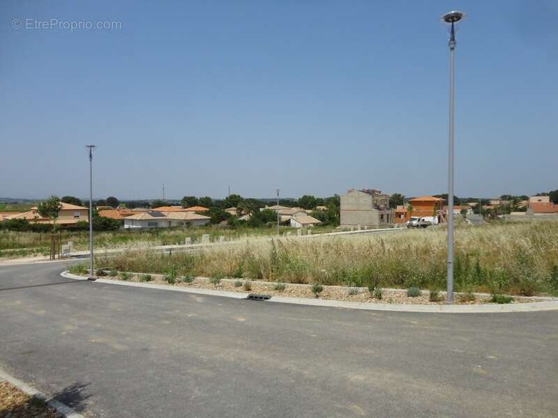 Terrain à BANYULS-DELS-ASPRES