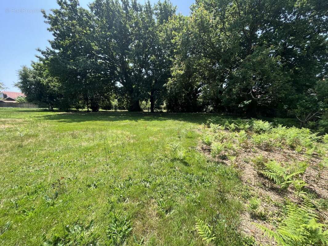 Terrain à BISCARROSSE