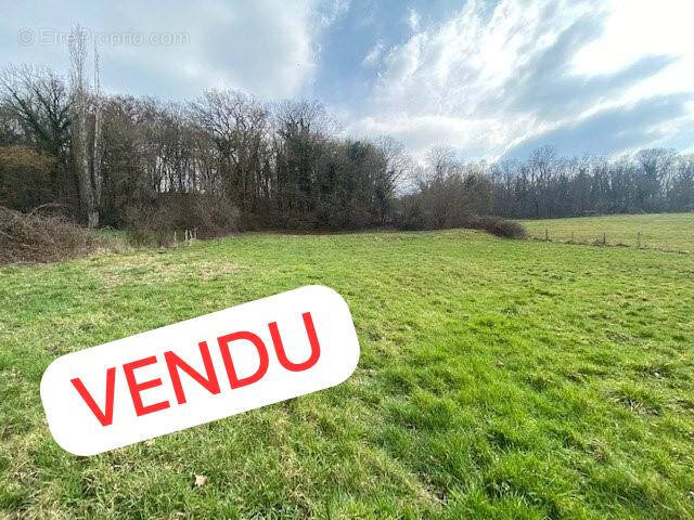 Terrain à VINZELLES