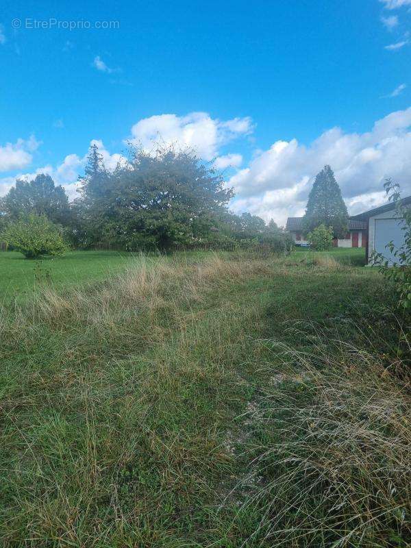 Maison à SAINT-GERMAIN-SUR-RHONE