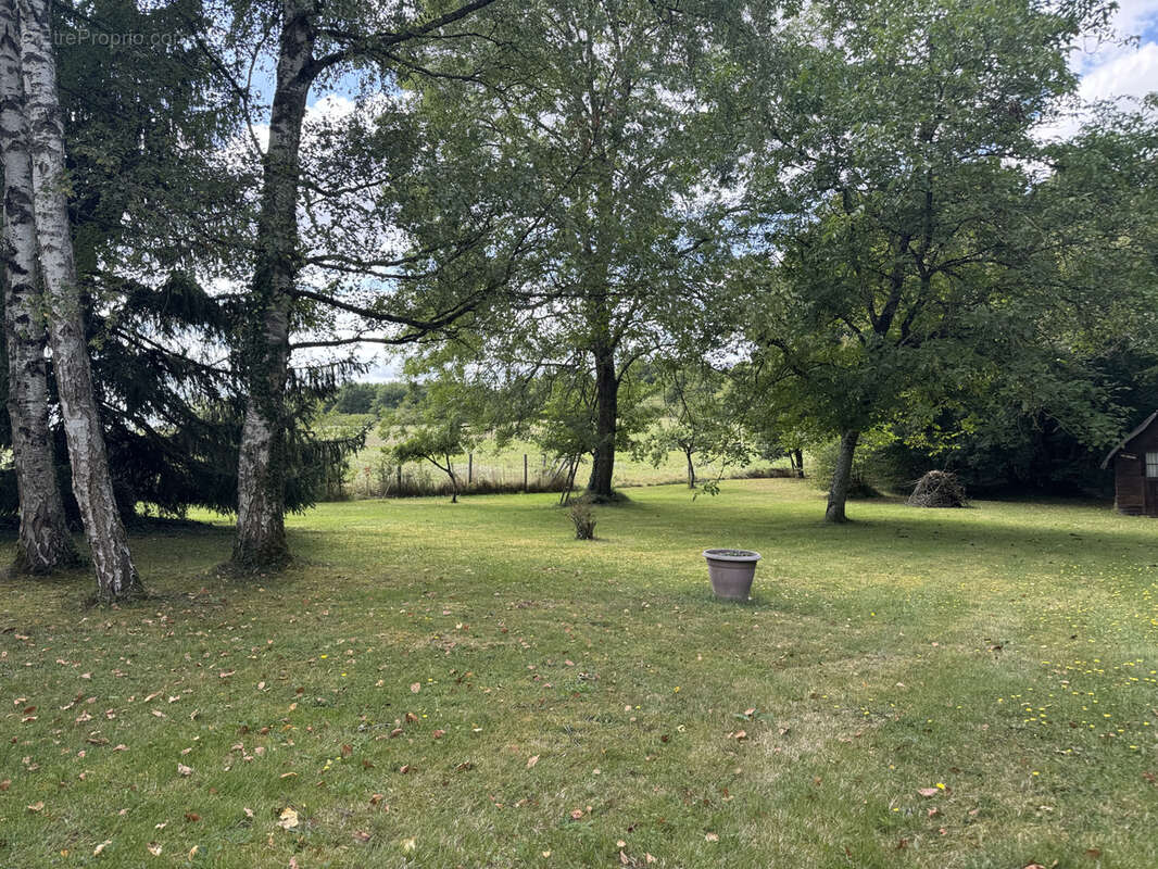 Maison à CHATEAU-RENARD