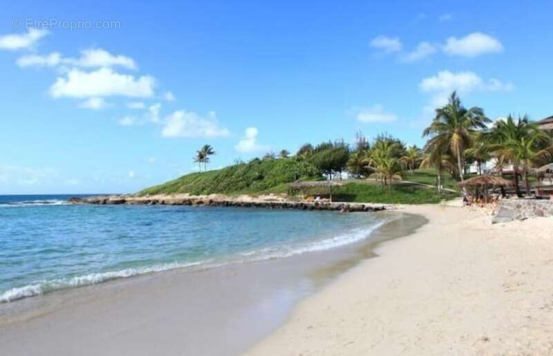 Villa de standing plage privative à pied piscine jacuzzi sur 700 m² de terrain - photo 3