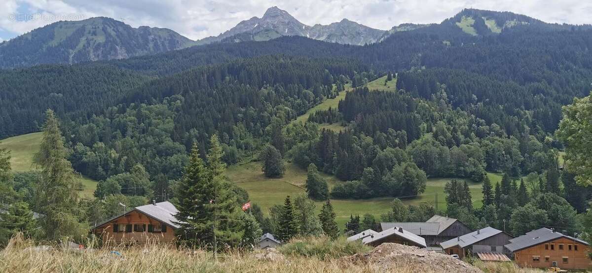 Terrain à ABONDANCE
