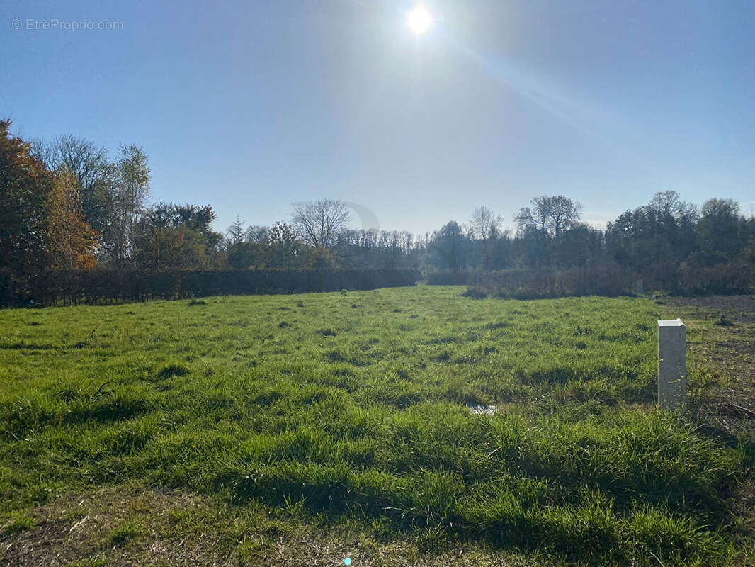 Terrain à ARGENTAN
