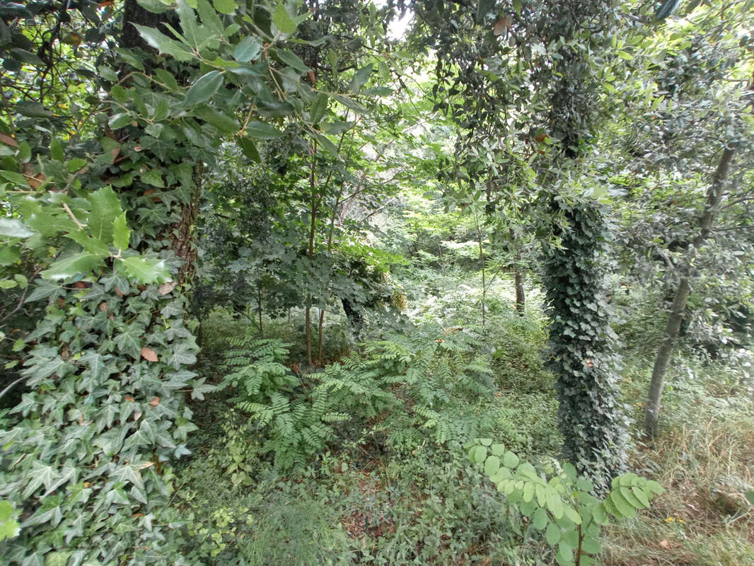 Terrain à SAINT-HIPPOLYTE-DU-FORT
