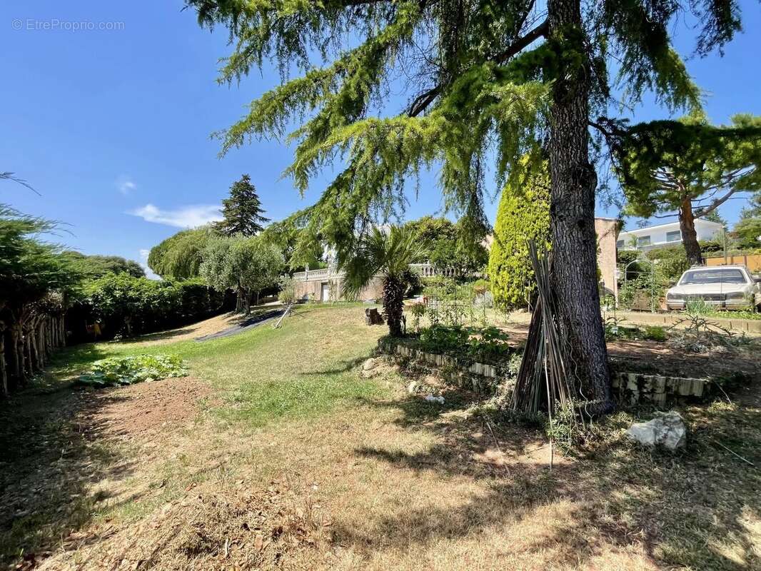 BIOT - Villa Provençale - Piscine - Calme absolu - photo 13