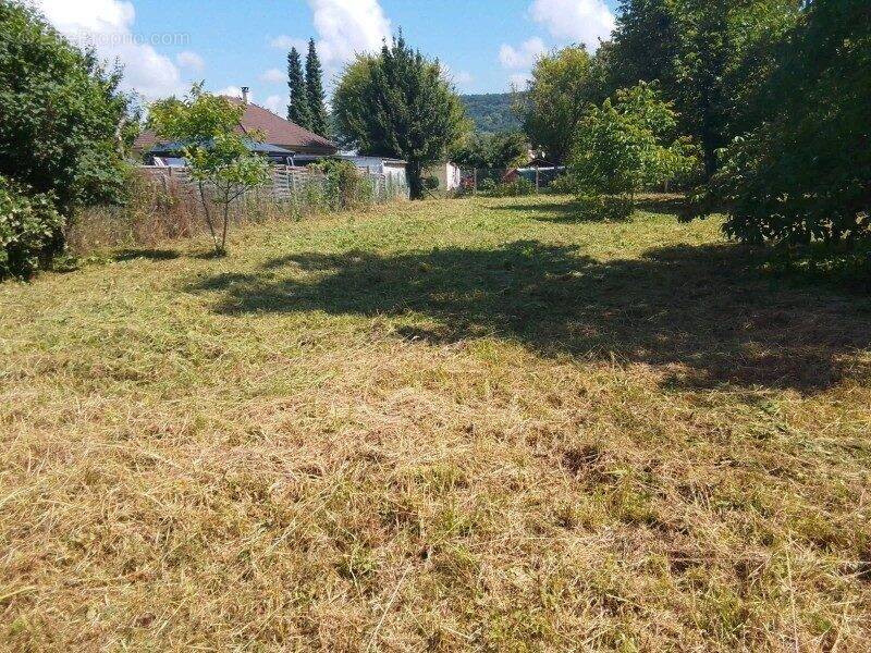 Découvrez ce beau terrain constructible de 2 395 m², offrant un cadre verdoyant et un fort potentiel pour votre futur projet immobilier. - Terrain à POSES