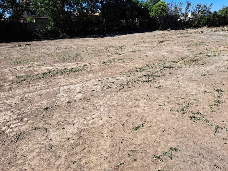 Terrain à SALON-DE-PROVENCE