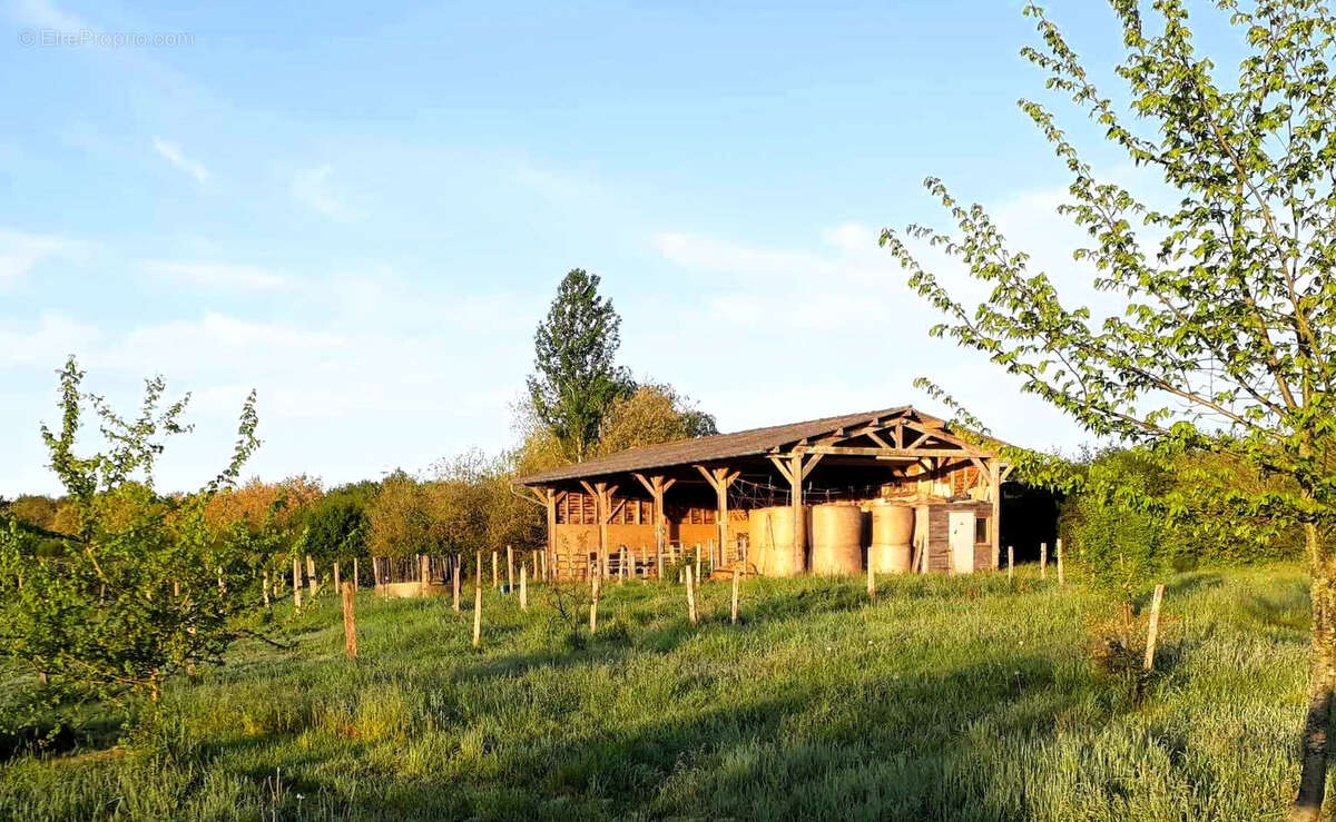Propriété de 2.5ha avec Maison rénovée, dépendances, Vue Pyrénées - photo 4