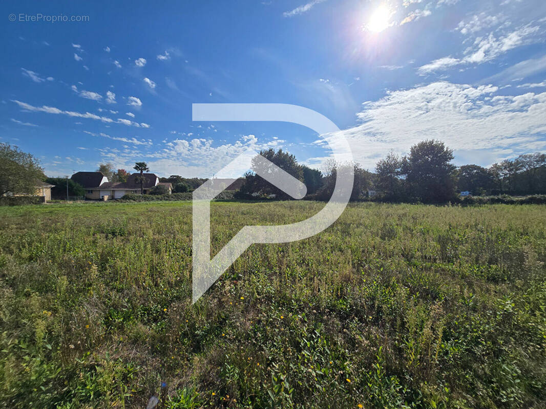 Terrain à HAGETAUBIN