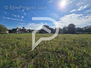 Terrain à HAGETAUBIN