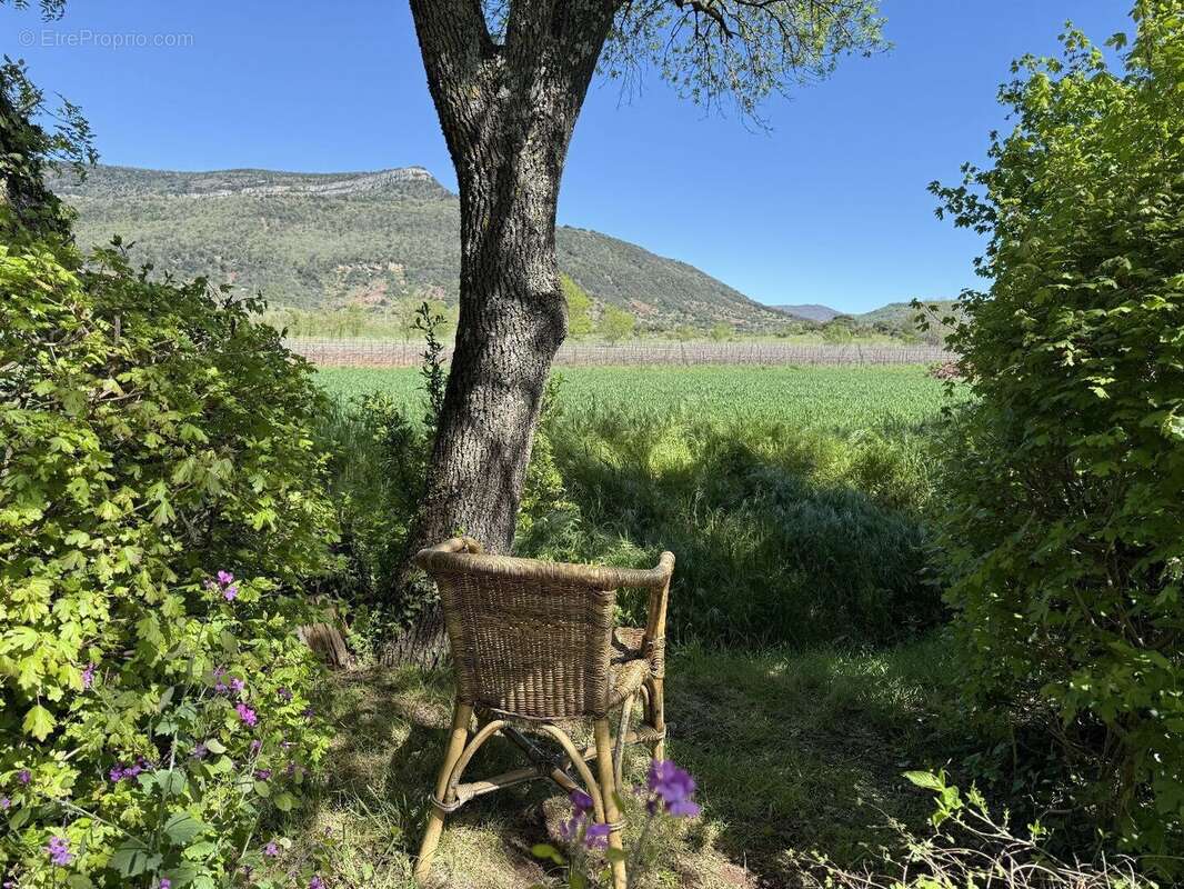 Photo 3 - Maison à LA TOUR-SUR-ORB