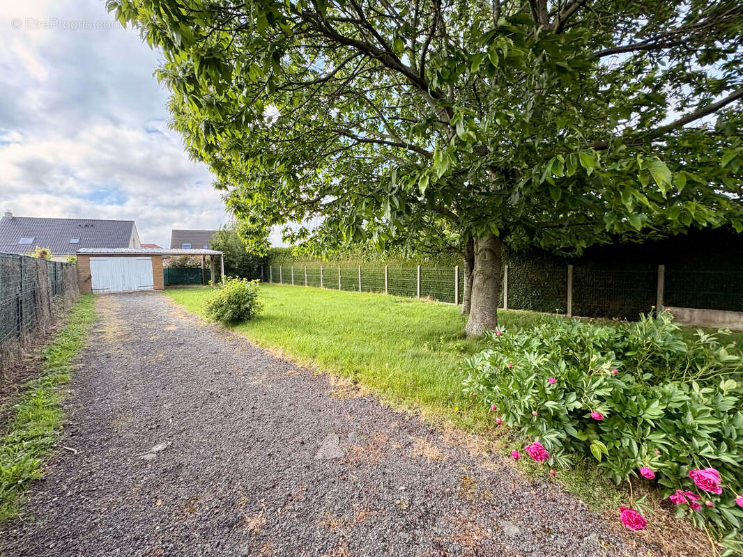 Photo 2 - Maison à LOZINGHEM