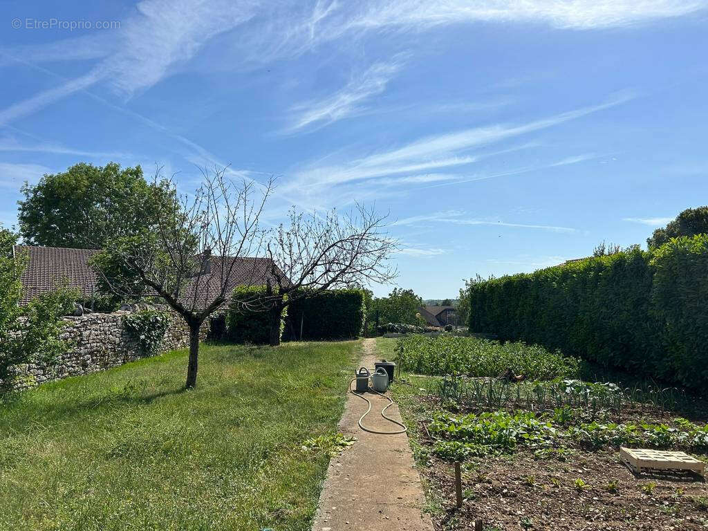 Maison rénovée avec hangar attenant - photo 4