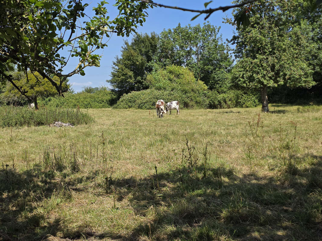 Maison à THIBERVILLE