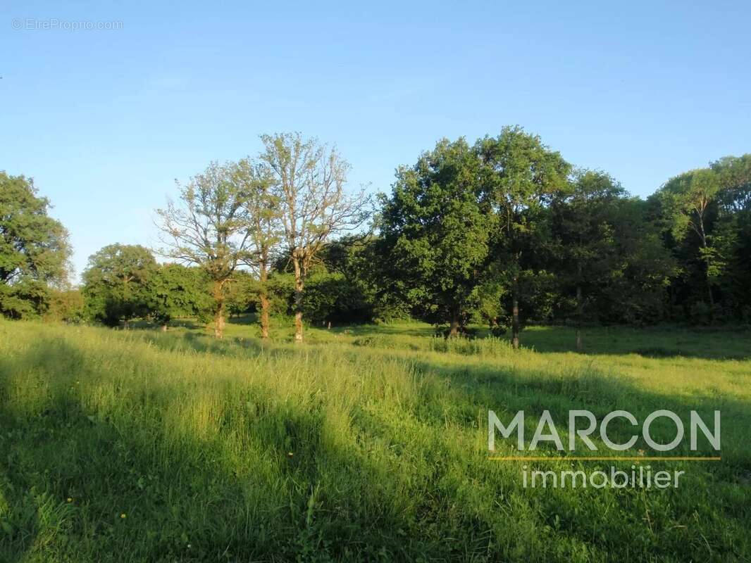 Maison à MAISON-FEYNE