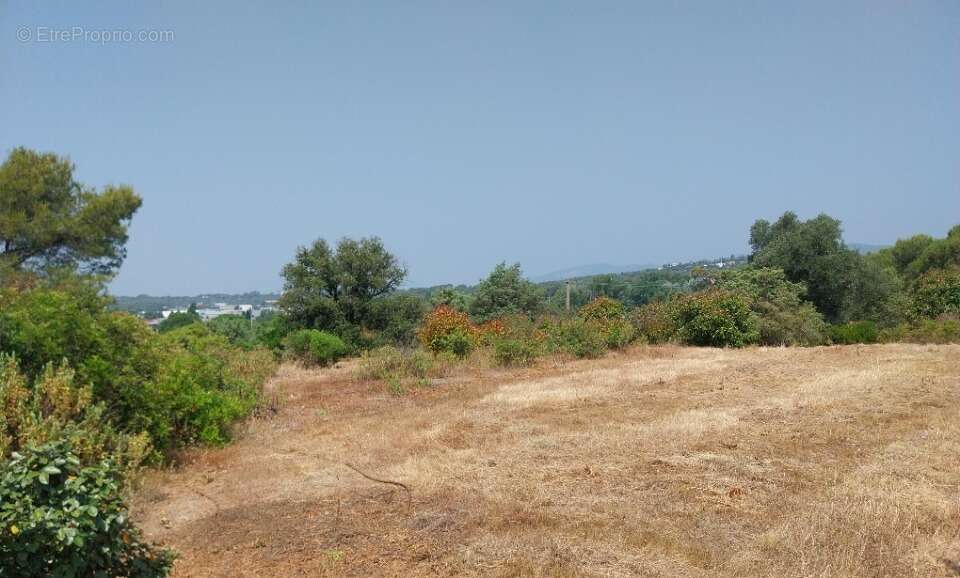 Terrain à FREJUS