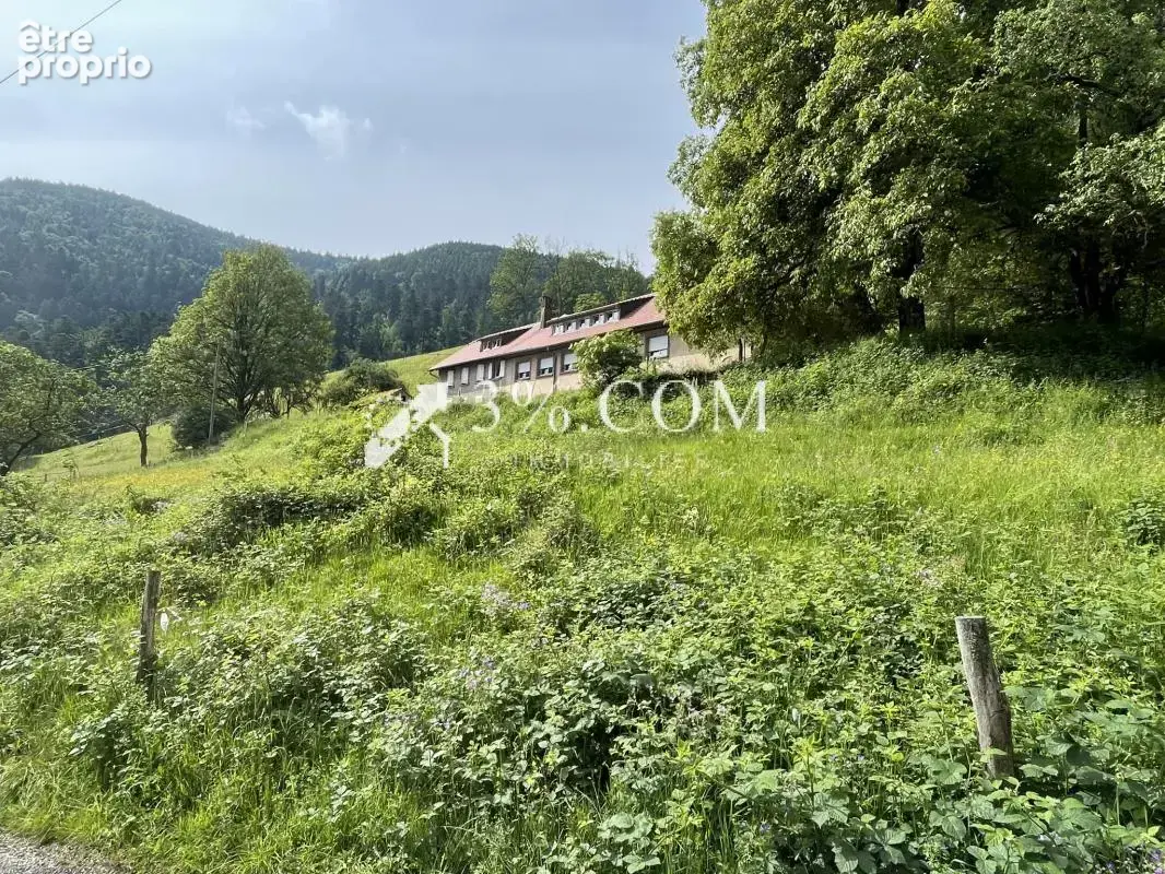 Maison gite dans un cadre naturel - photo 14