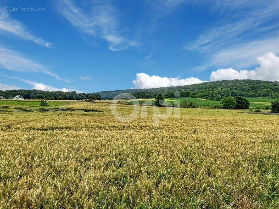 Terrain à SACY-LE-GRAND