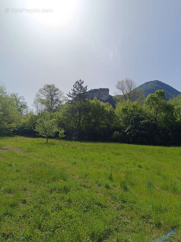 Terrain à SAVOILLAN