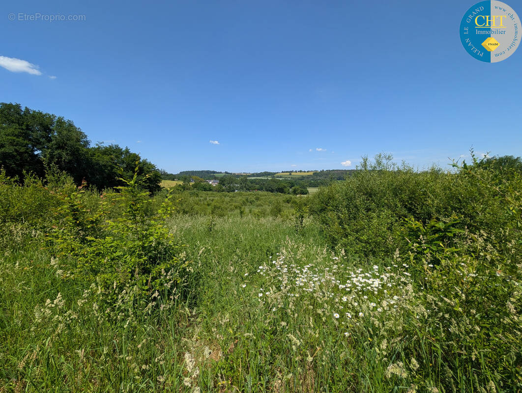 Terrain à BEIGNON