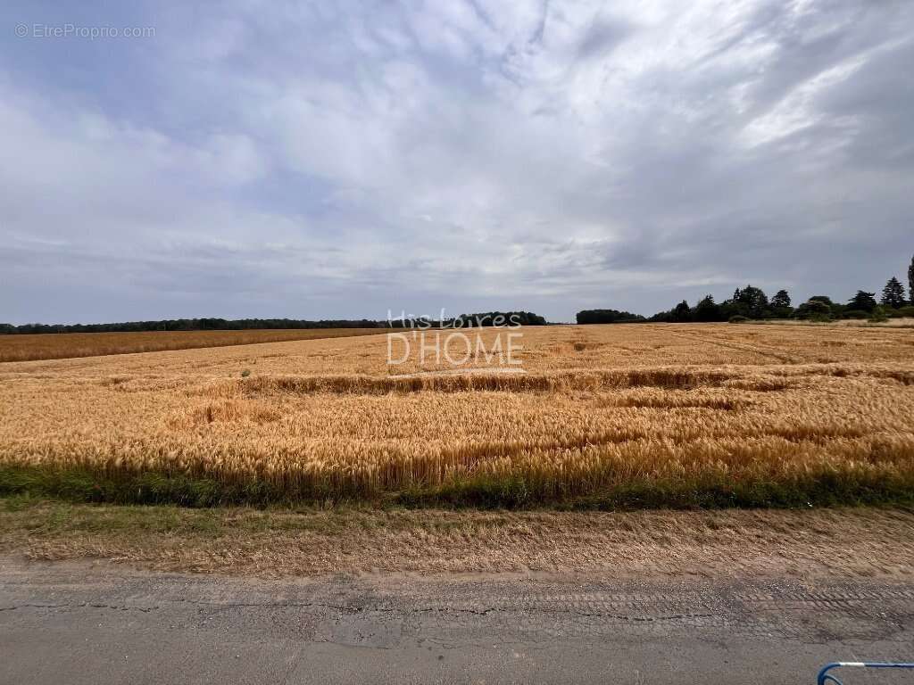 Belle propriete avec 1 annexe et 2 garages sur touquin - photo 13