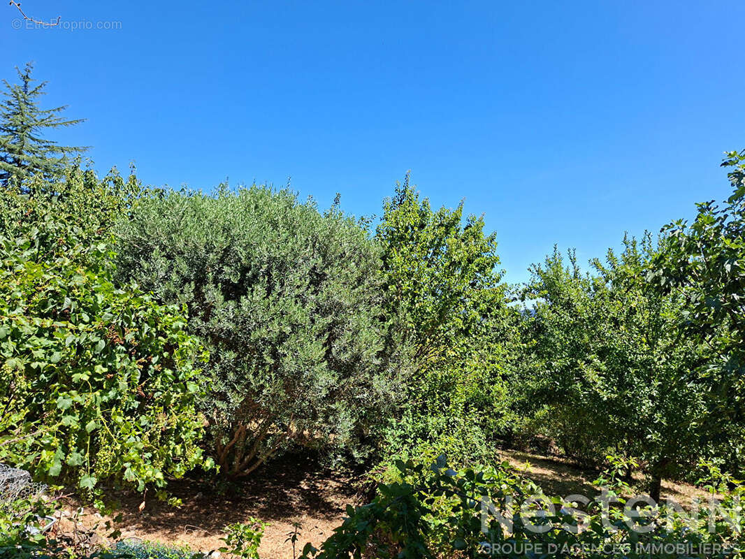 Immeuble à vendre à La Vernarède - 8 pièces, 143 m², terrain 1350 m² - photo 15