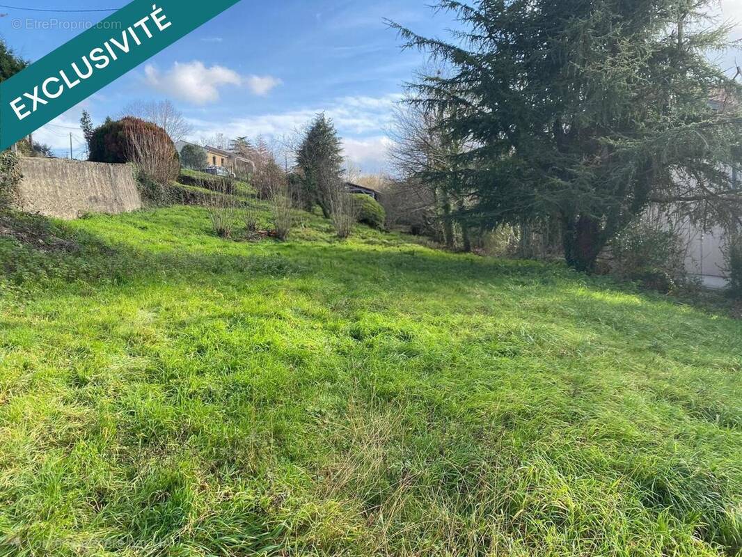 Photo 1 - Terrain à SAINT-AMANS-VALTORET