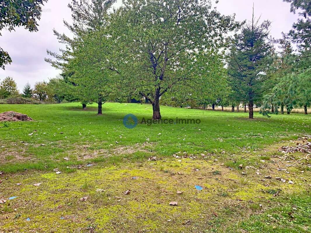 Maison à CHATEAU-LA-VALLIERE