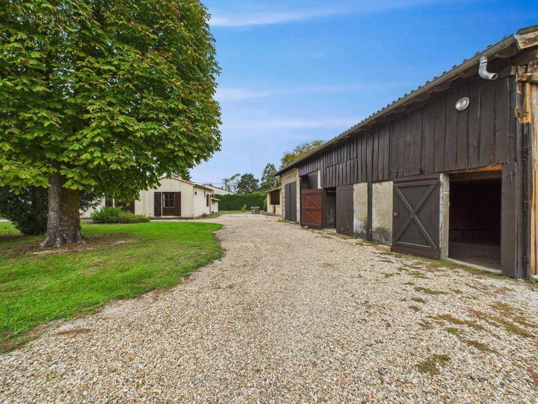 Commerce à SAINT-MEDARD-EN-JALLES