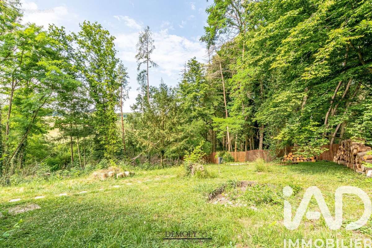 Photo 9 - Terrain à INGLANGE