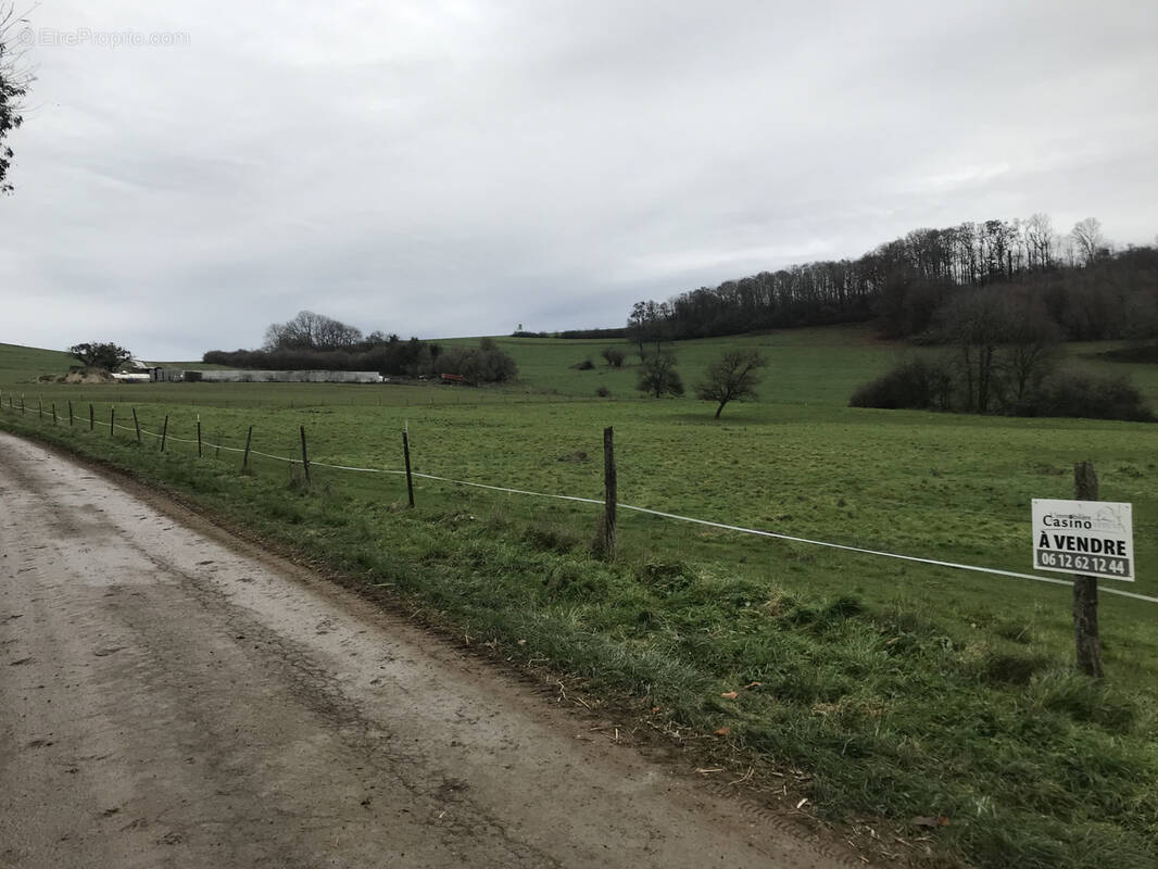 Terrain à MERSCHWEILLER