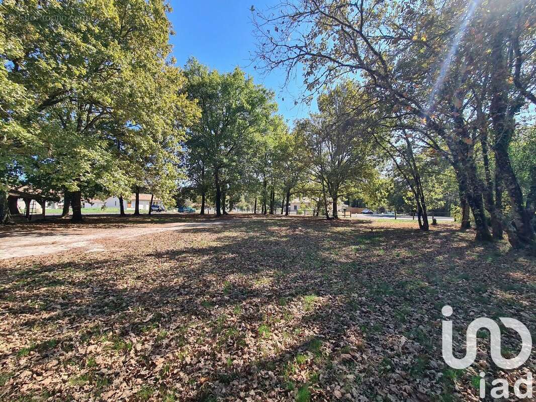 Photo 2 - Terrain à BELHADE