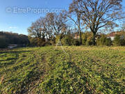 Terrain à SAINT-BENOIT