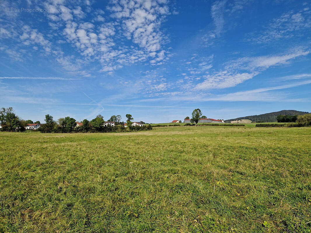 Terrain à FLANGEBOUCHE