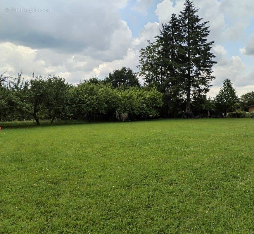 Terrain à EYJEAUX