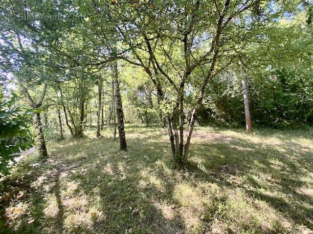 Maison 8 pièces (200m2), jardin à Auch - photo 13