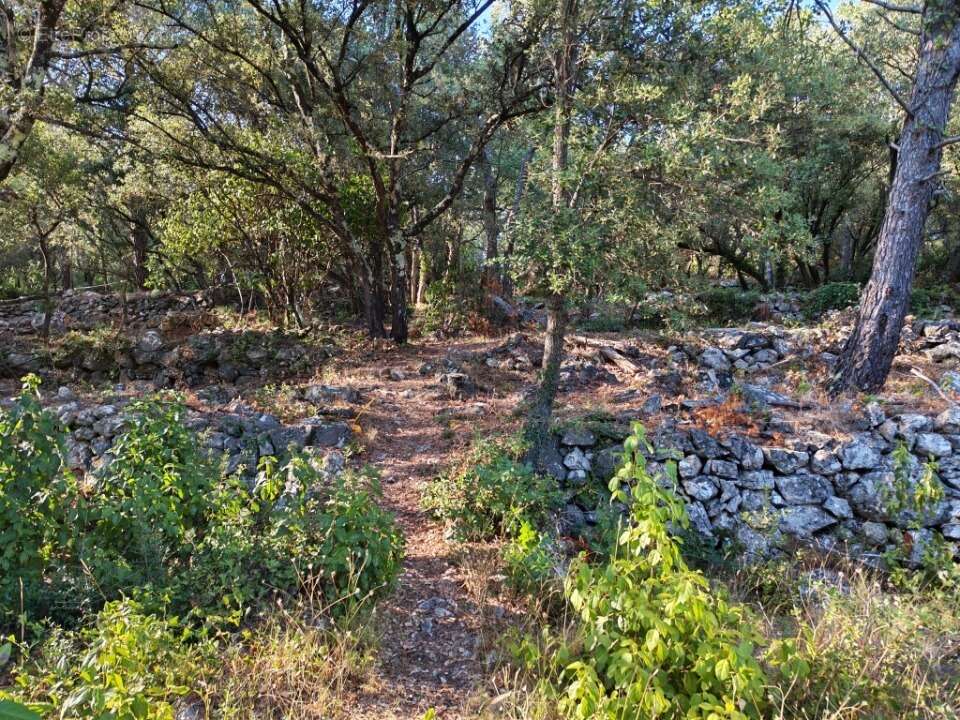 Terrain 1920 m² à Camps-La-Source  - photo 12