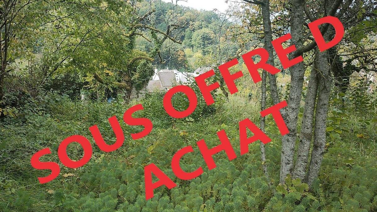 Photo 1 - Terrain à SALINS-LES-BAINS