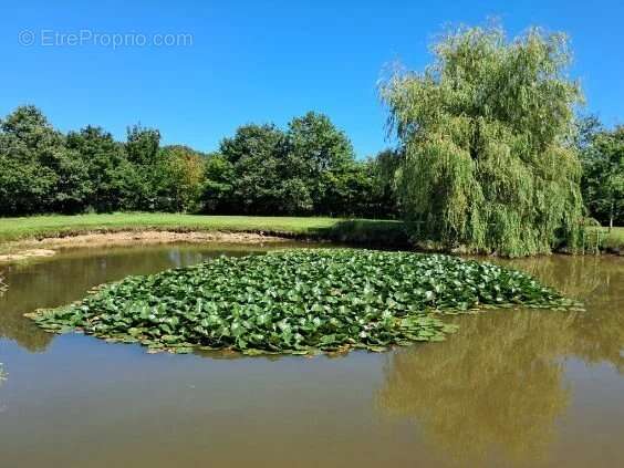 Maison à SAINTE-SUZANNE