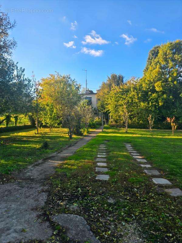 Maison à MONTREUIL-BELLAY