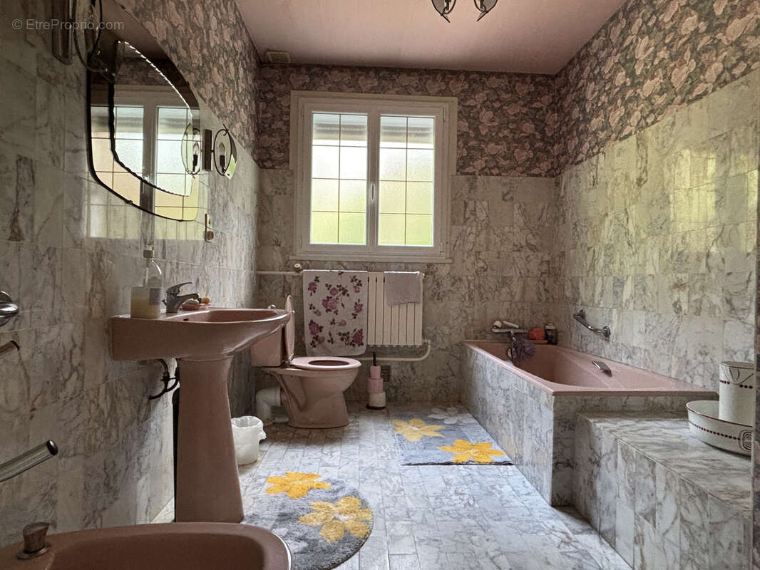 Maison à VIENNE-EN-VAL