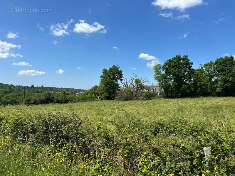 Terrain à CHATEAUPONSAC