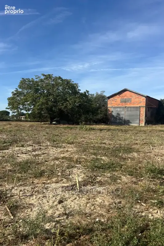 Maison 3 pièces 200 m² à vendre à Garganvillar (82100) - photo 6