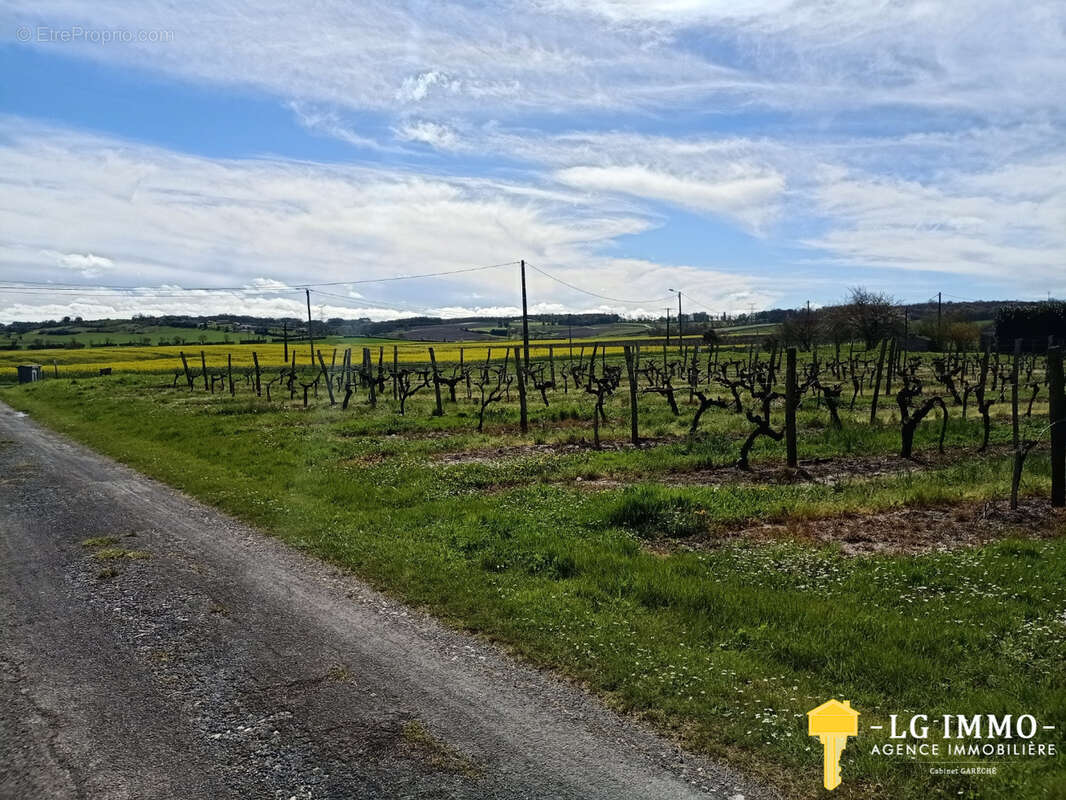 Terrain constructible non viabilisé 9069 m2 proche Estuaire de la Gironde à St Ciers du Taillon - photo 2